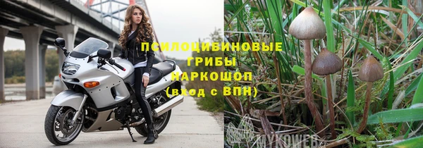 стаф Арсеньев