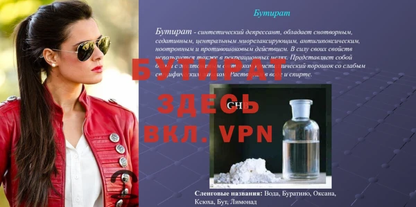сатива Новодвинск