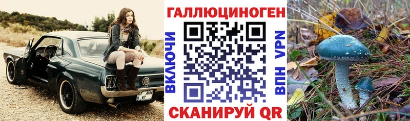 Псилоцибиновые грибы прущие грибы  Луга 